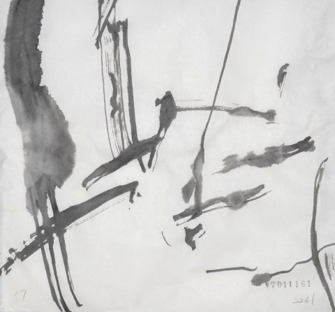 170111のドローイング