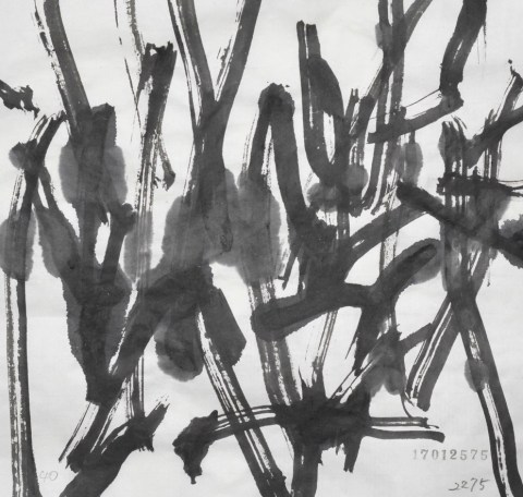 170125のドローイング