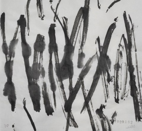 170201のドローイング