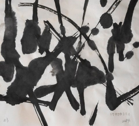 170203のドローイング