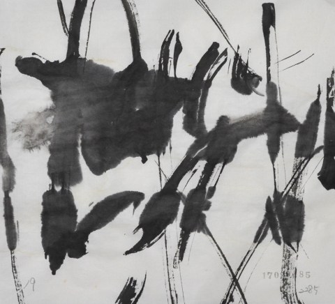 170204のドローイング