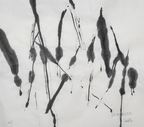 170205のドローイング