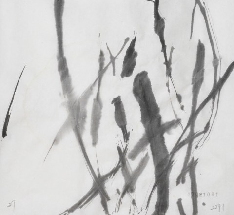 170210のドローイング