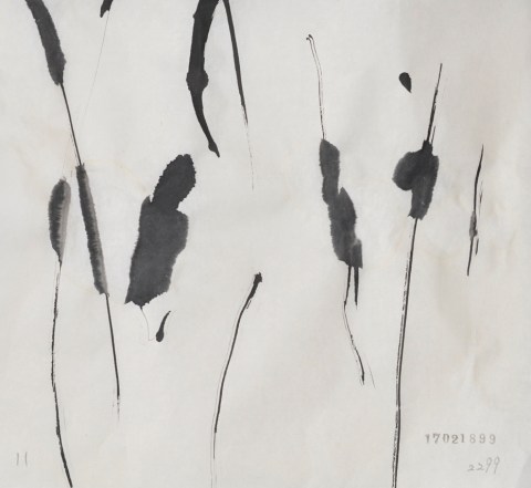 170218のドローイング