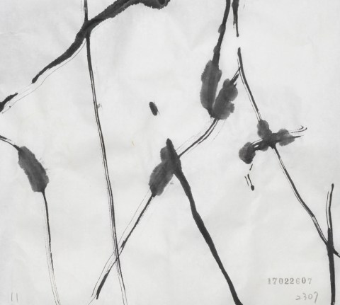 170226のドローイング