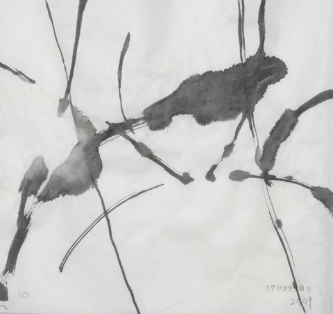 170228のドローイング