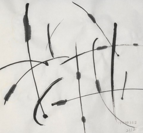 170303のドローイング