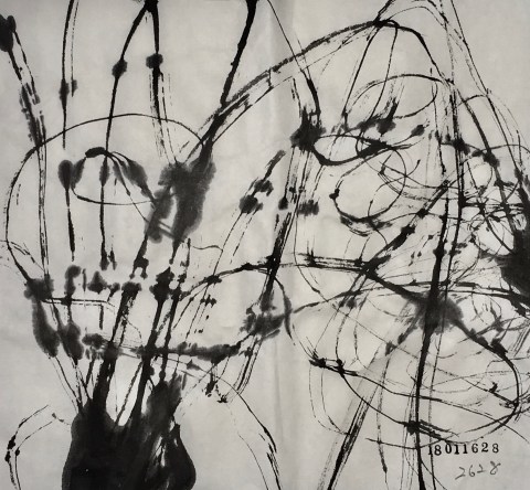 180116のドローイング