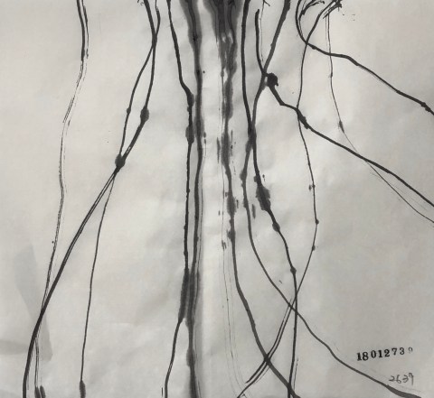 180127のドローイング