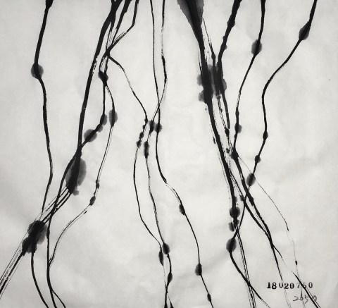 79B9D05B-CB4D-48B0-BA52-B6FA7C7D560D