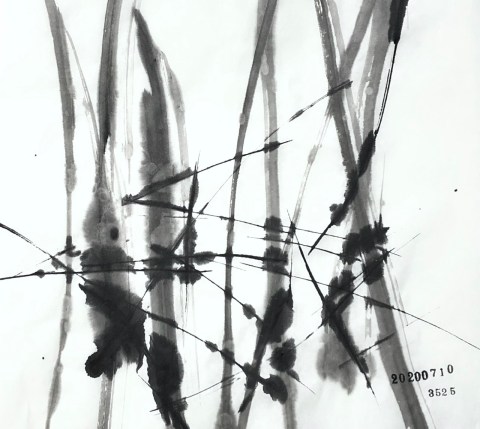 0621AB72-A984-4C35-A51E-A79B50989C32