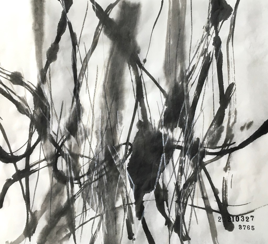 20210327、3765枚目のドローイング