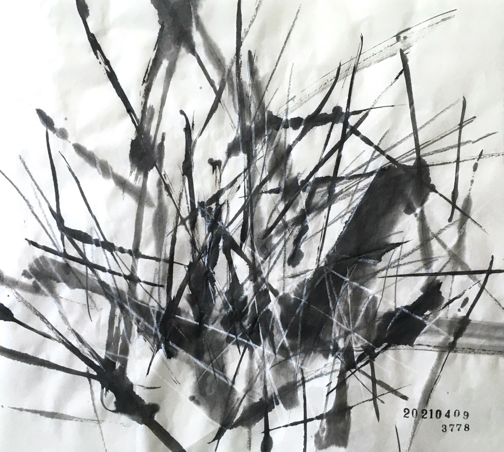 20210409、3778枚目のドローイング