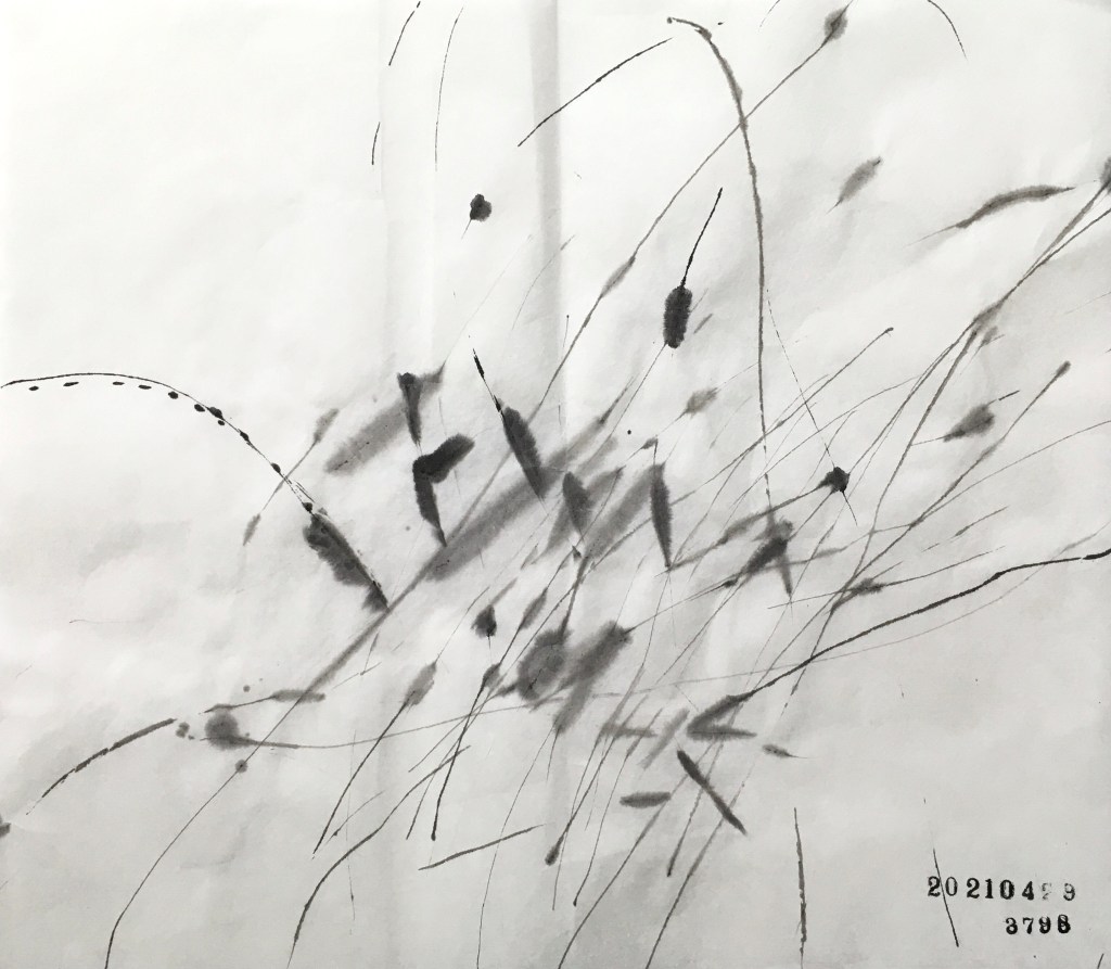 20210429、3798枚目のドローイング