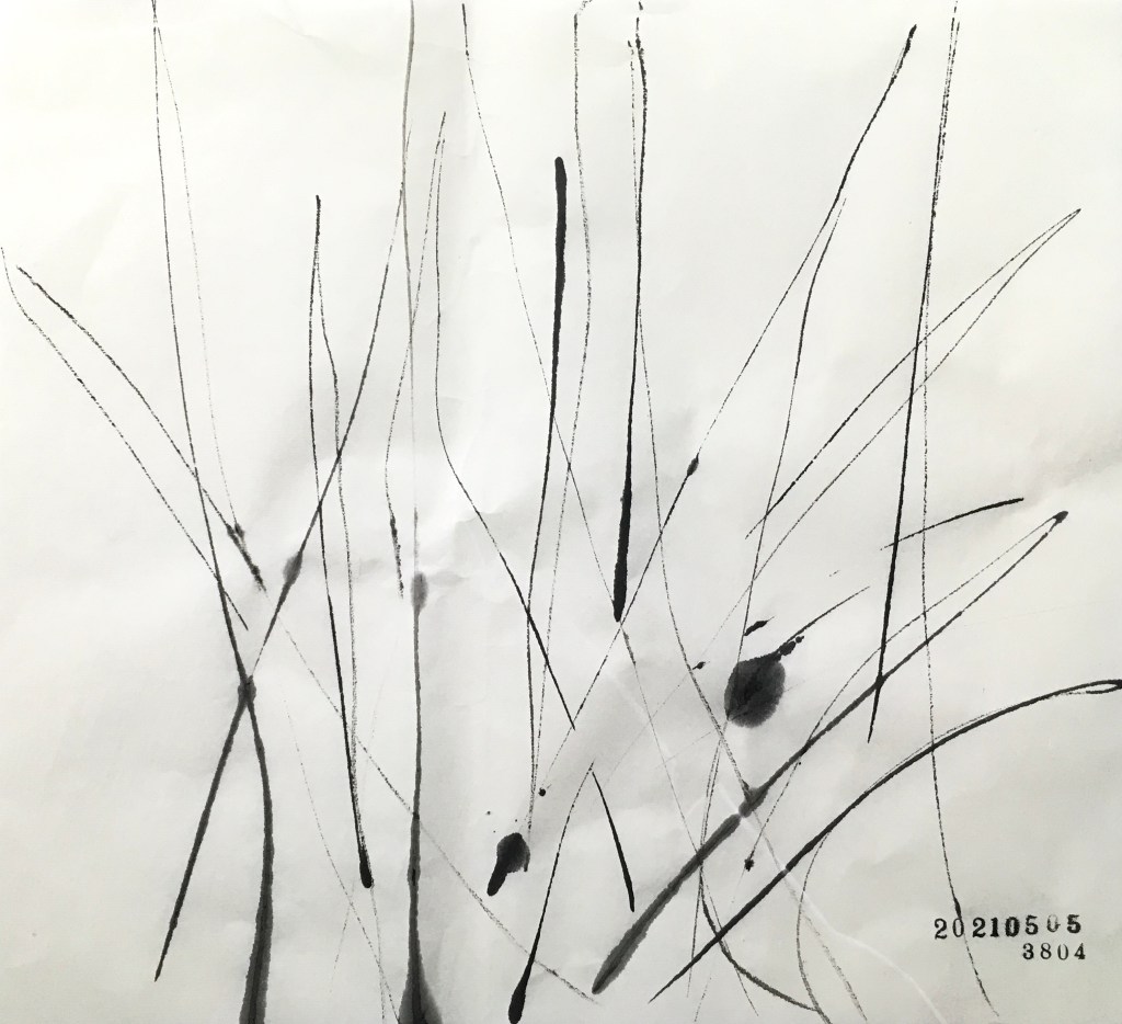 20210505、3804枚目のドローイング