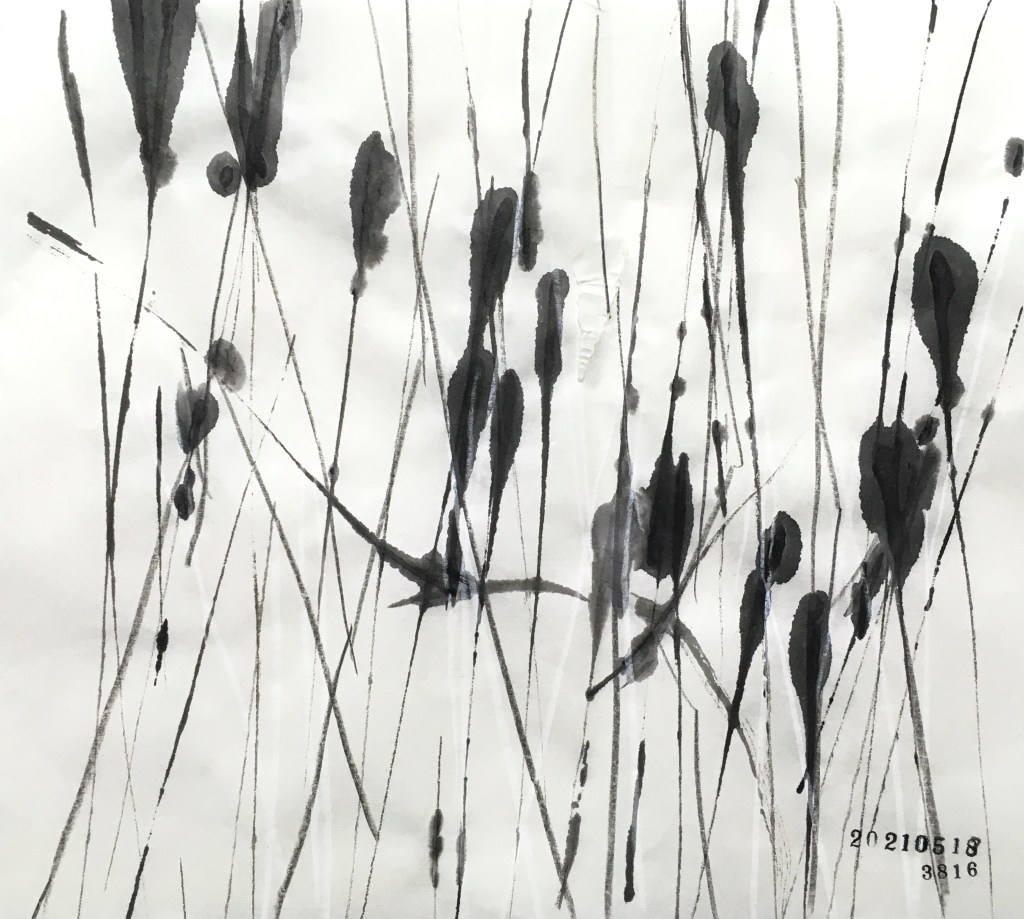 20210518、3816枚目のドローイング