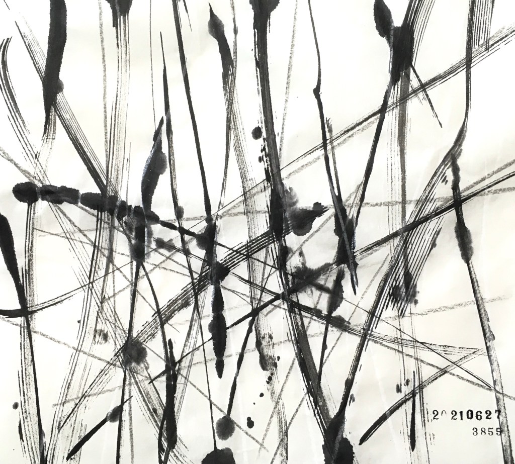 20210627、3855枚目のドローイング