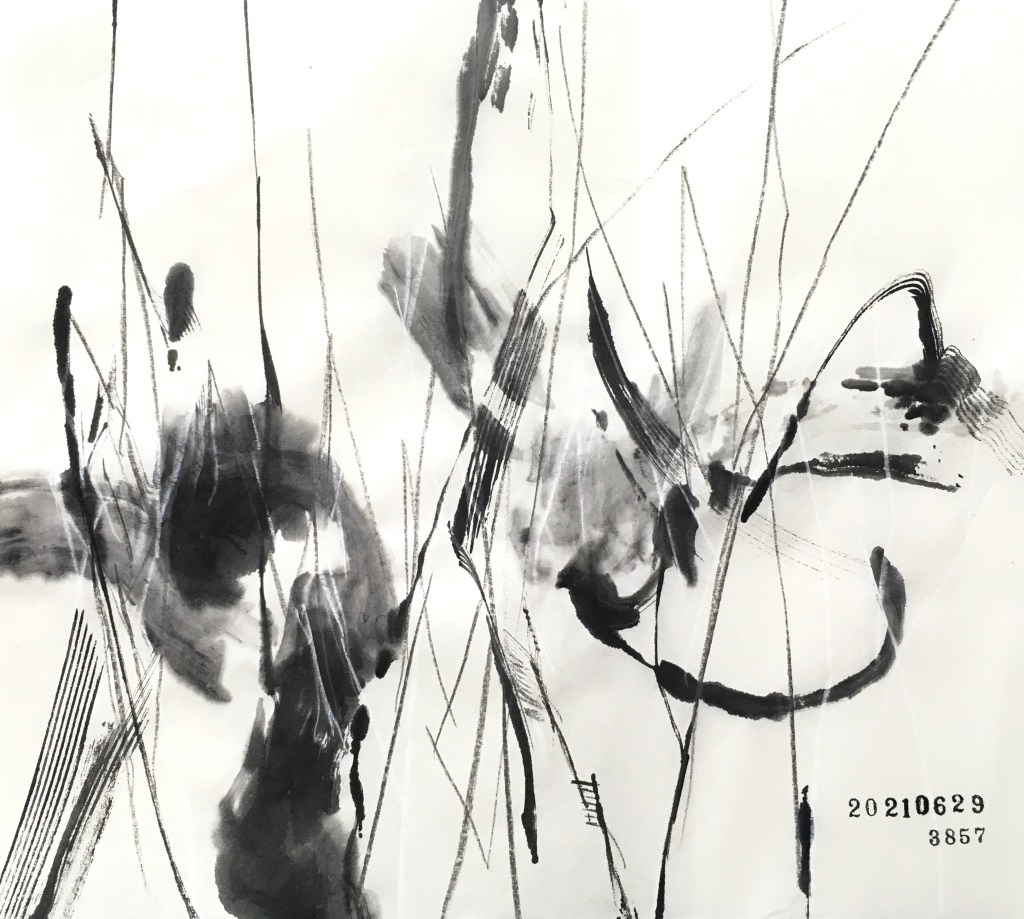 20210629、3857枚目のドローイング